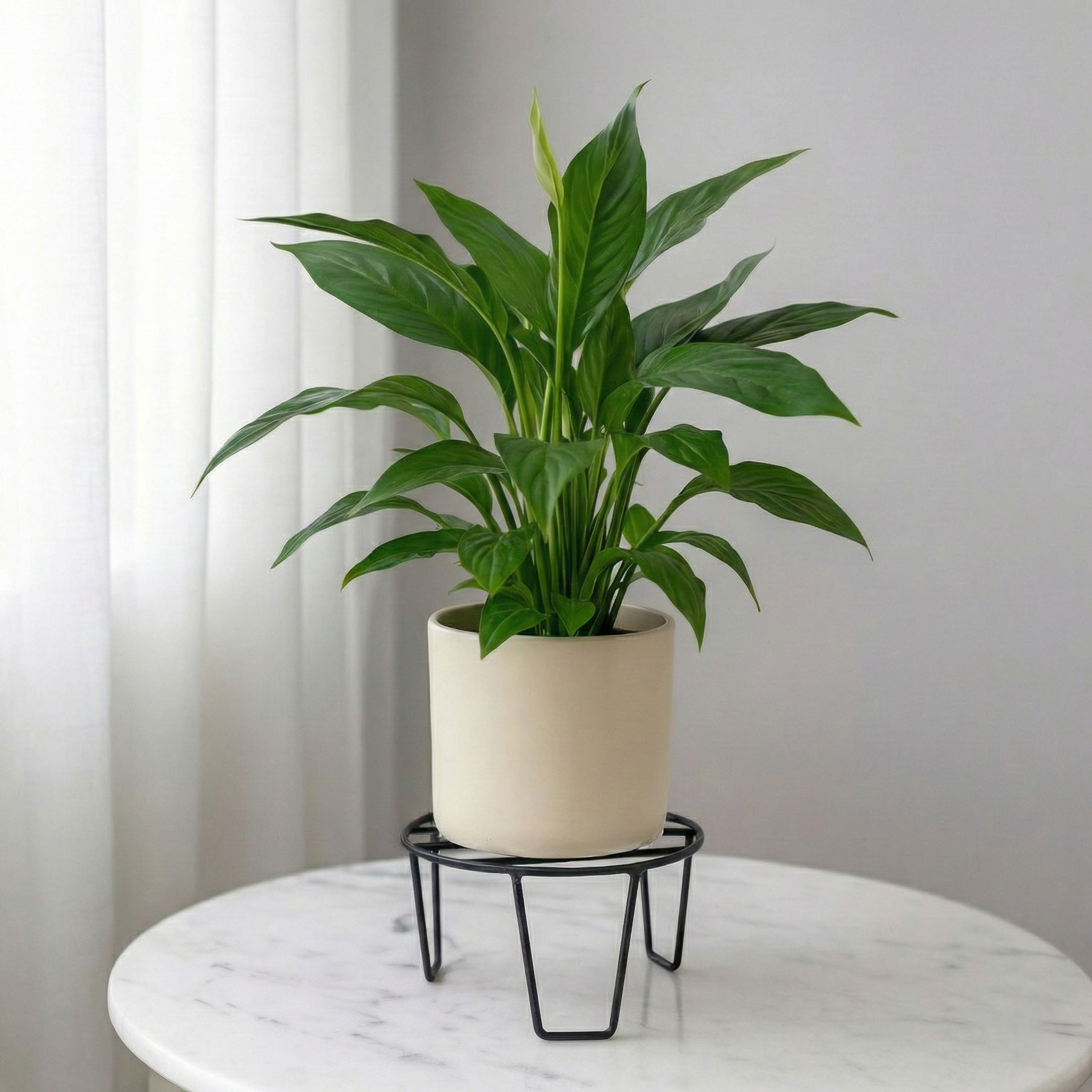 ORION Plant Stand