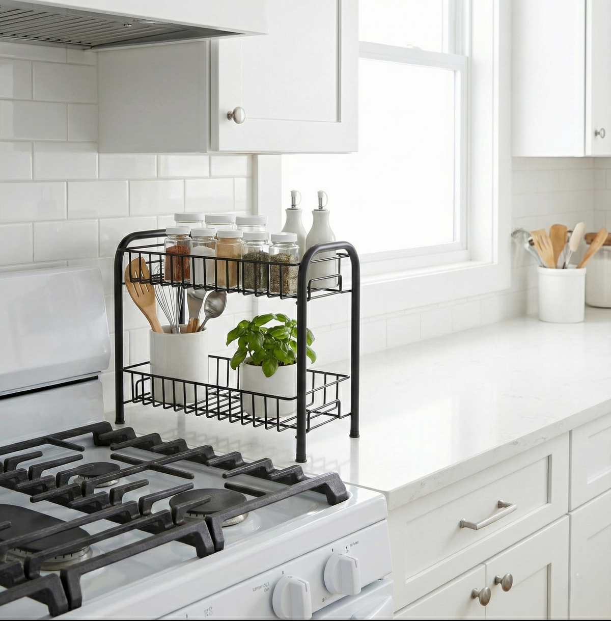 MIRA Spice Rack